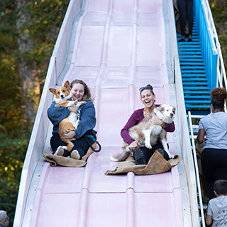 Two students going down a slide with dogs in their laps. 
