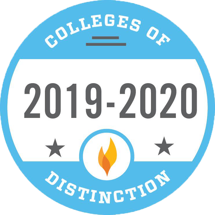 colleges of disctinction badge