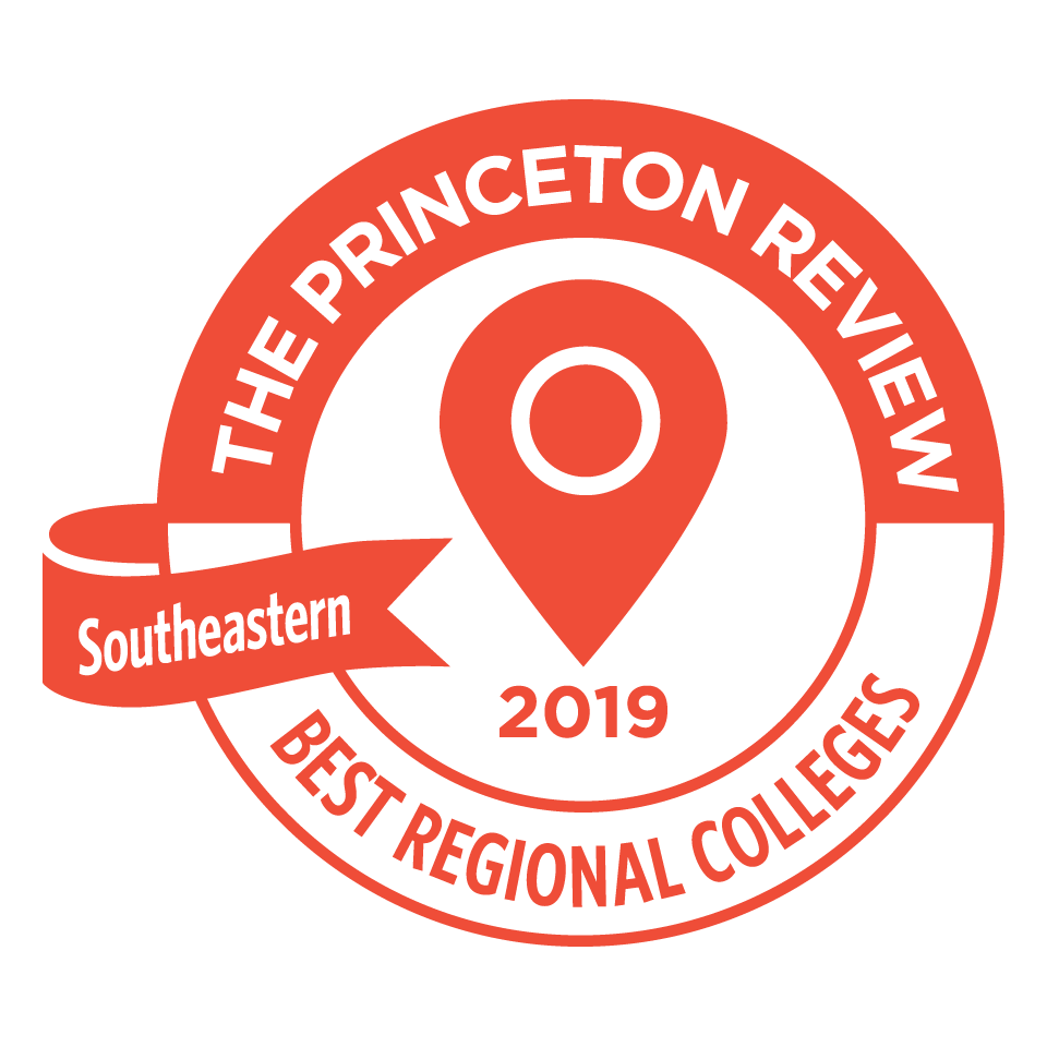 princeton review badge
