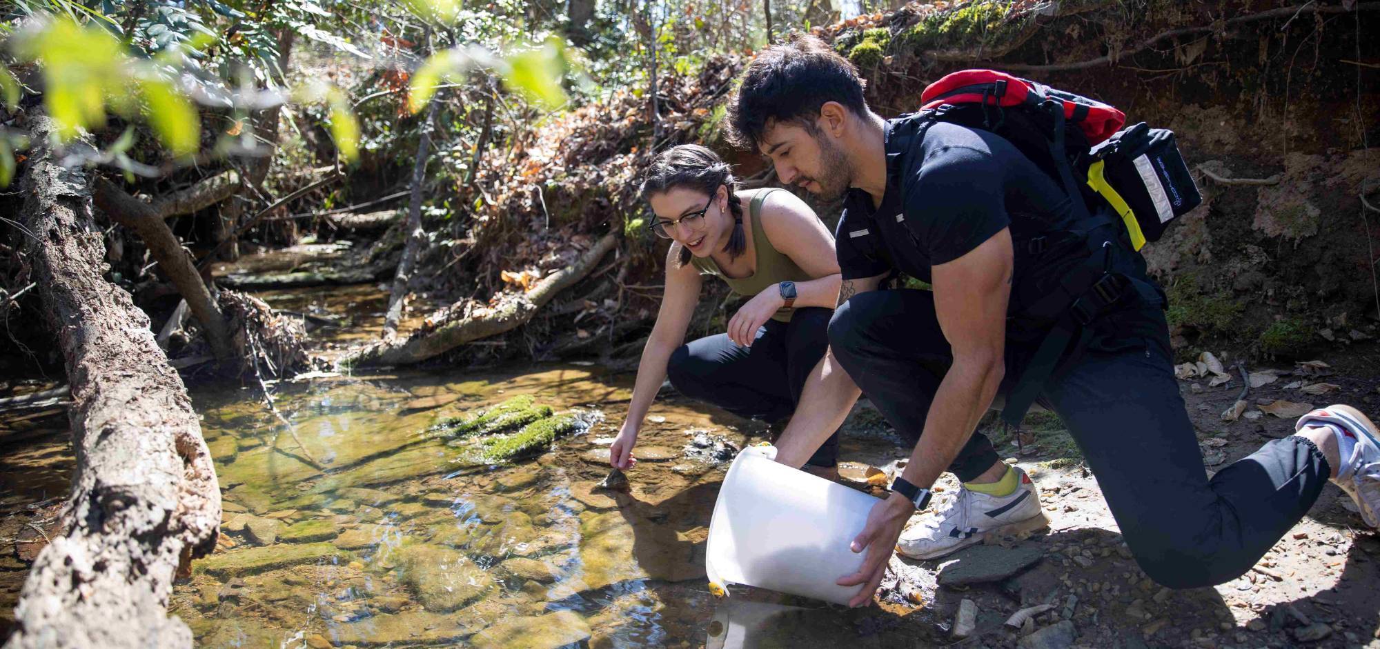 Students conducting research outside on campus