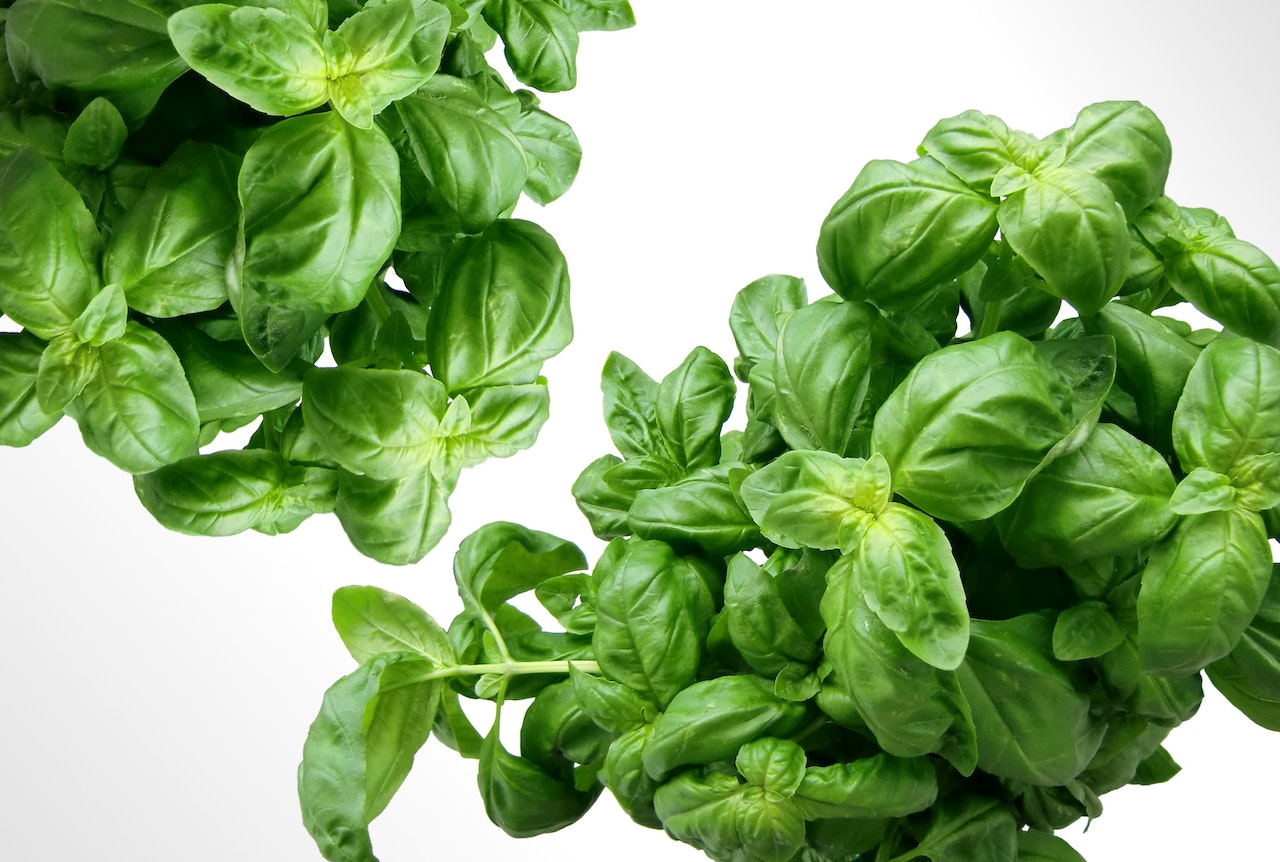 Some basil leaves