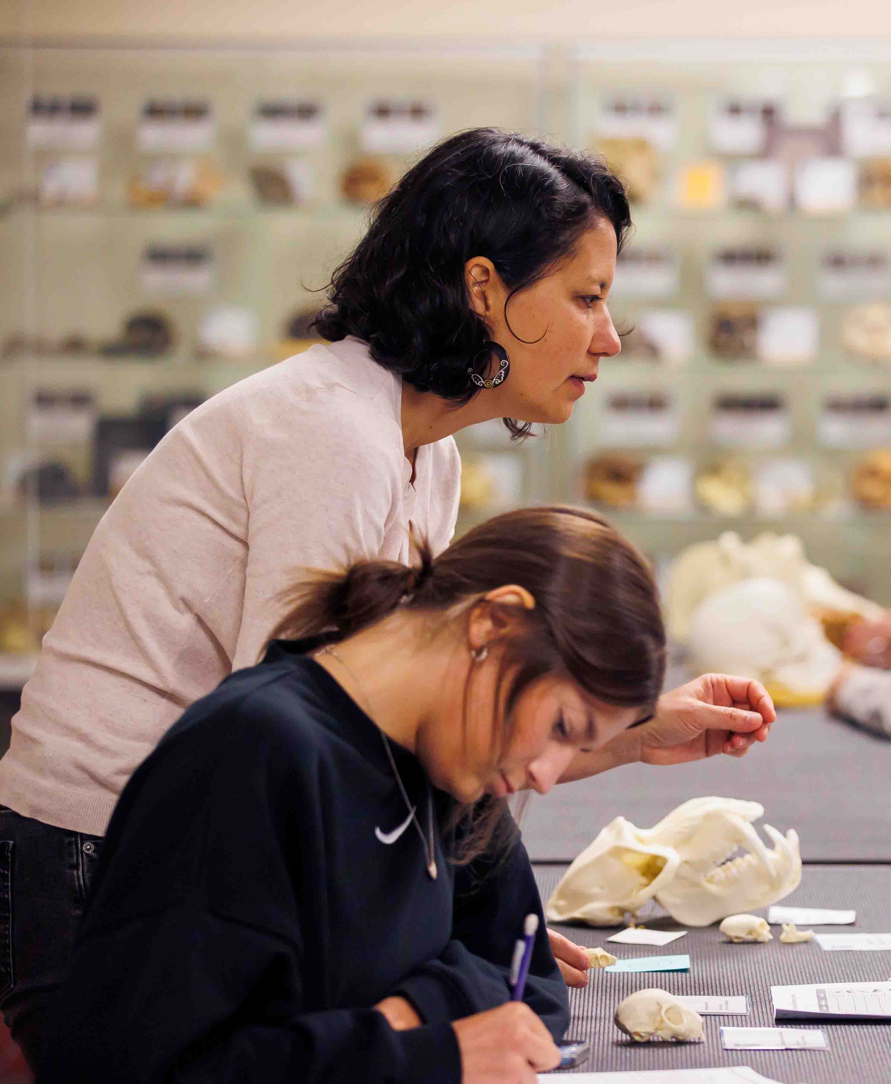 A professor talking to a student about the bone fragments on the table