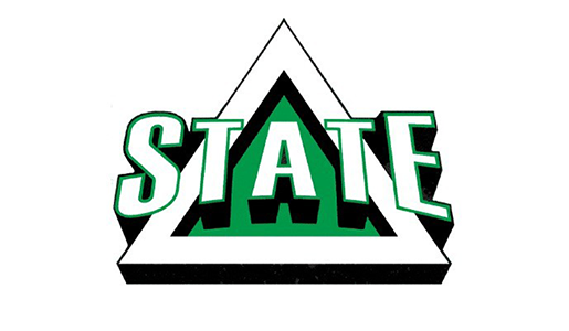 Delta State logo