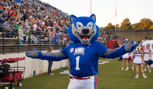 Wolfie at football stadium