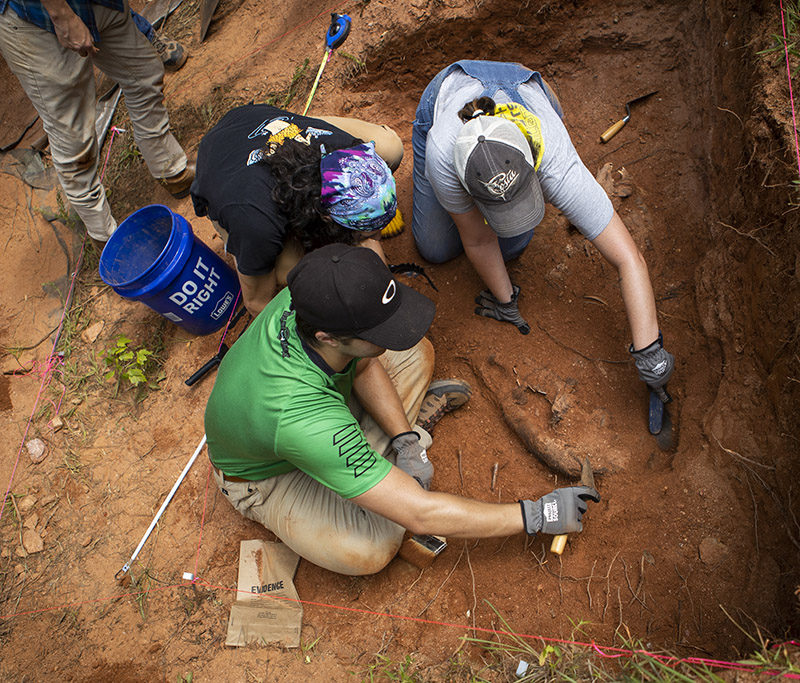 students in field on dig