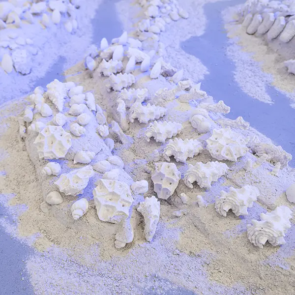 installation detail with shells