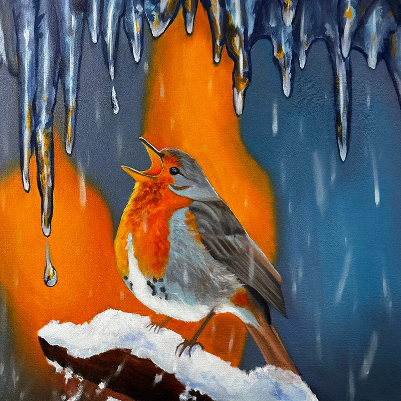 robin in winter setting