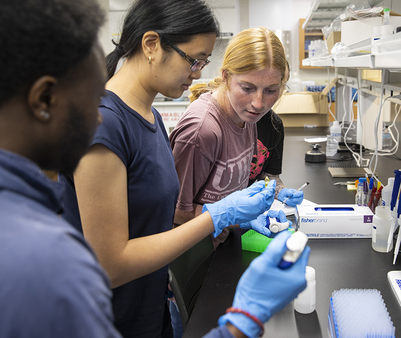 students in lab