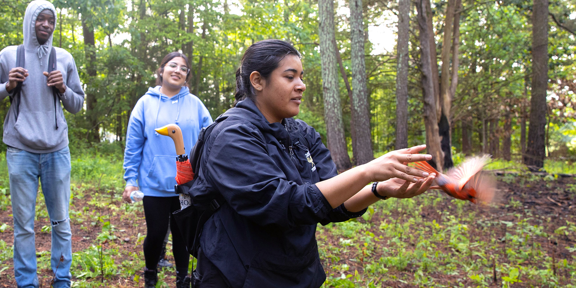 students in the field; one releasing a cardinal