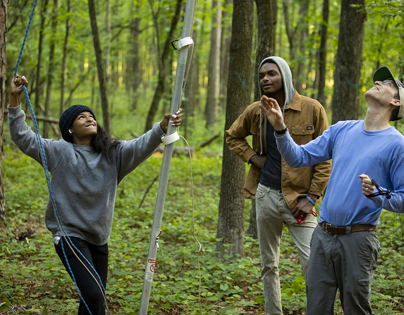 students with profession putting up bird netting