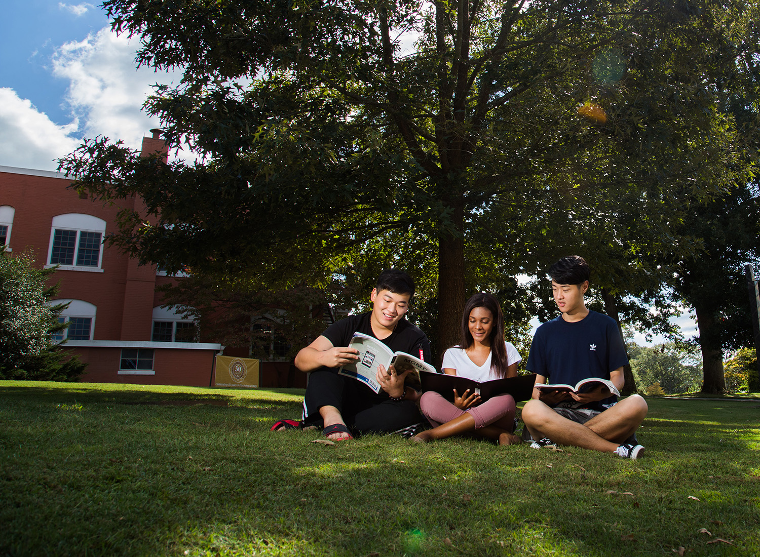 Business students sitting outside in the grass.