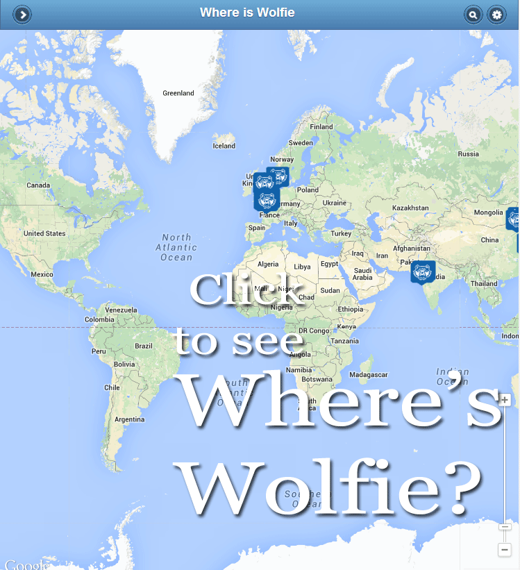where's wolfie application icon