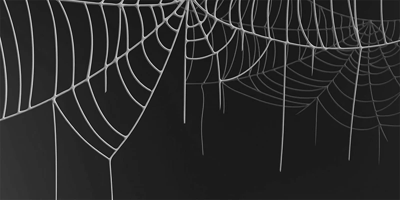 cobwebs