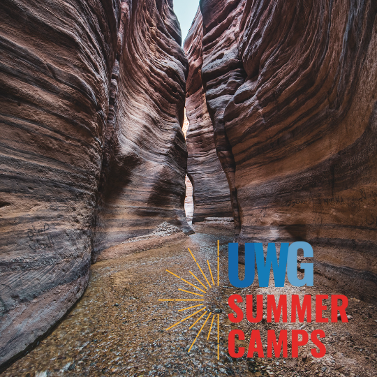 Geology Camps