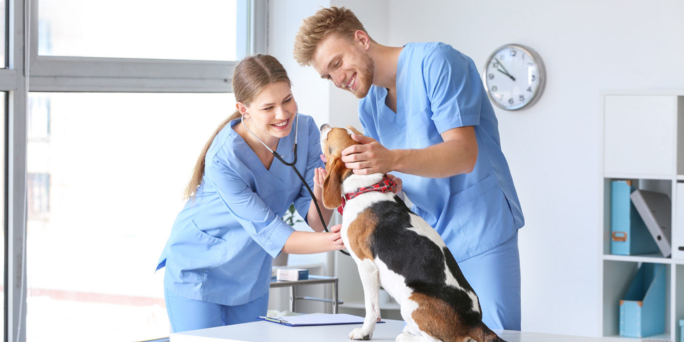 Clinical Medical Assistant helping patient