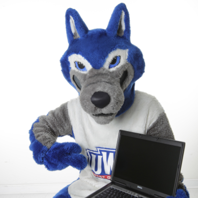 wolfie with computer