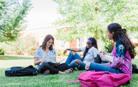 students studying on the grass
