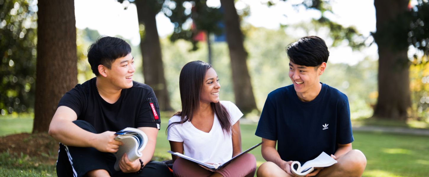 Students studying on the grass