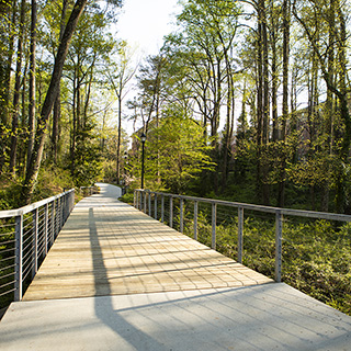 Walk on the greenbelt bridge through campus