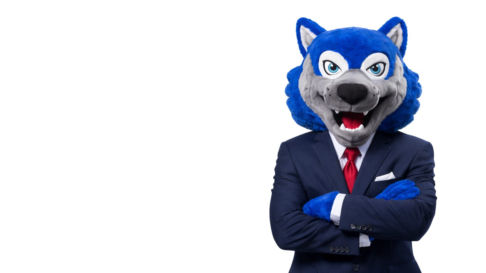 Wolfie wearing a suit and standing with his arms crossed.