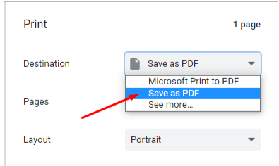 Save as PDF Save as PDF