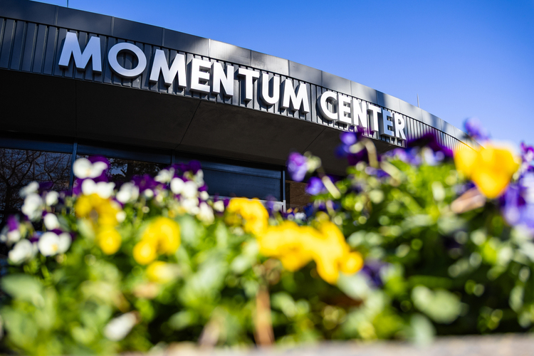 Momentum Center with Flowers