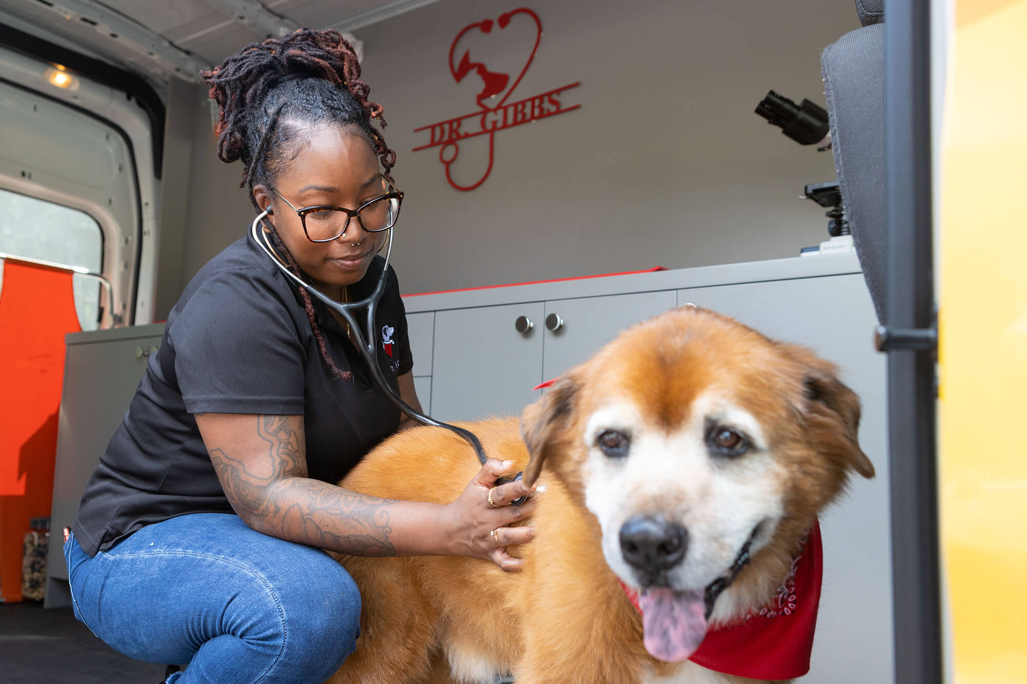 Dr. Jasmine Gibbs checks on her dog Spike's vitals inside her mobile vet clinic