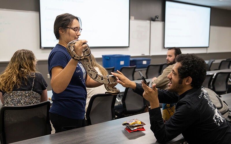 UWG student pets a snake