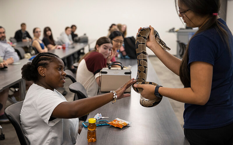 UWG student pets a snake