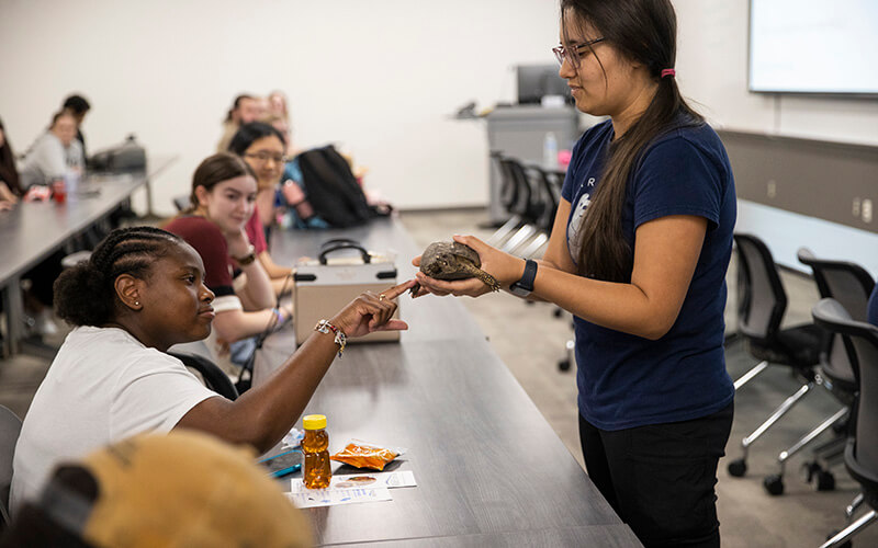 UWG student pets a turtle