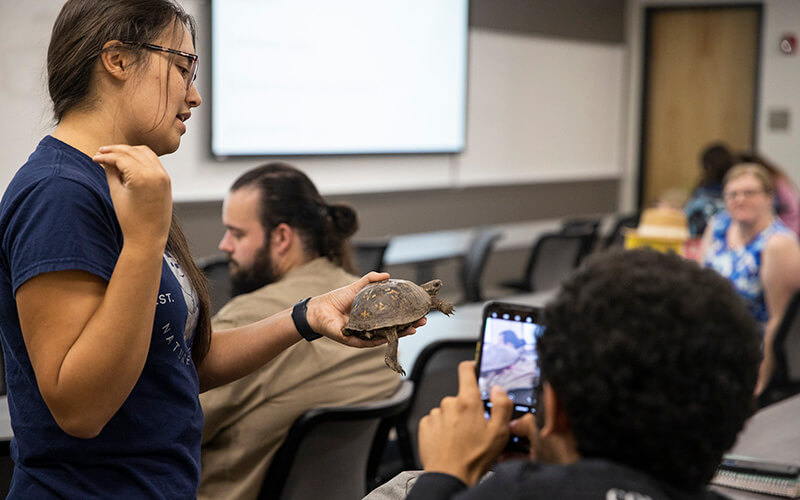 UWG students look at a turtle