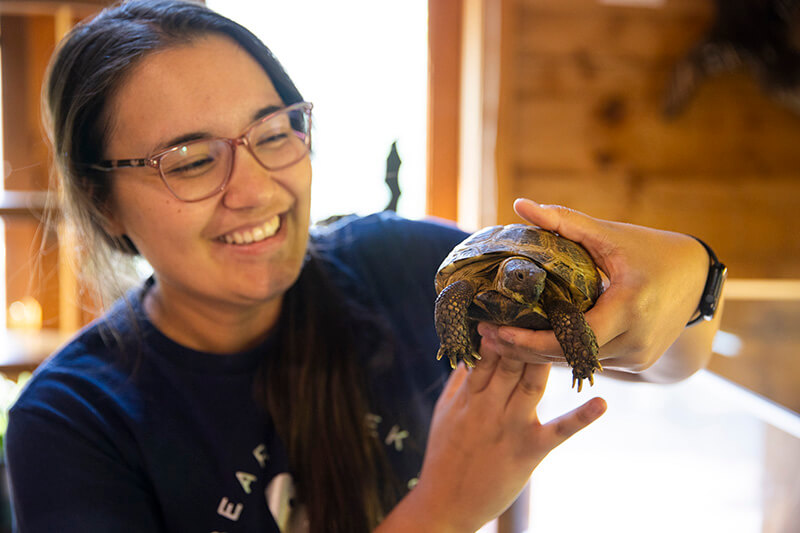 Joanne Wasdin holding a turtle