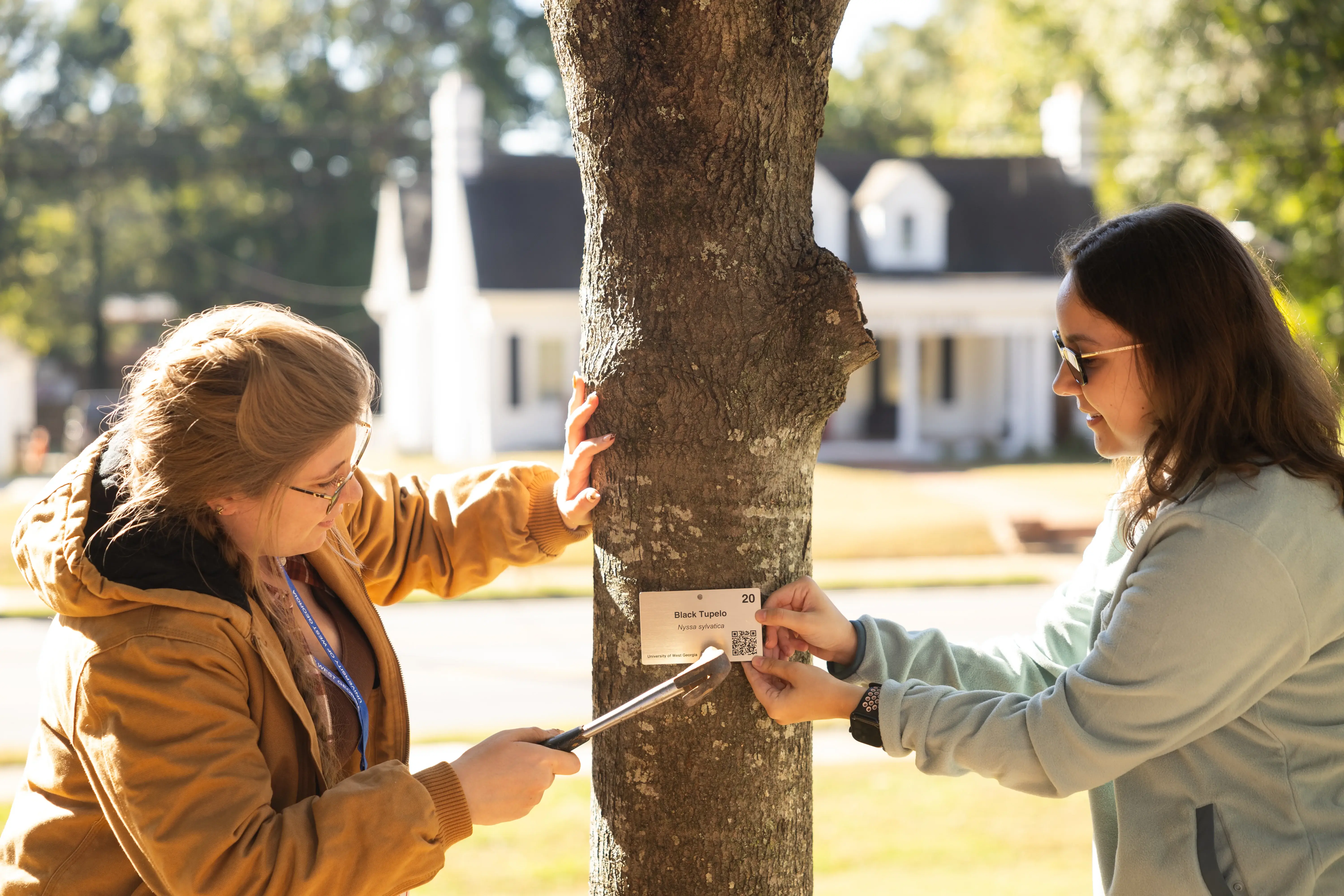 UWG students putting a sign on a tree