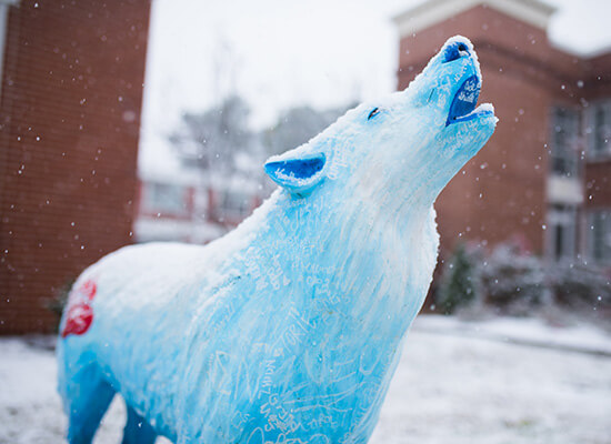 A howling wolf statue in snow
