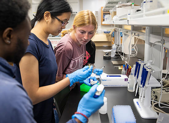 UWG students conducting research in a lab