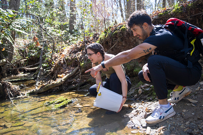 UWG students conducting research outside by a stream