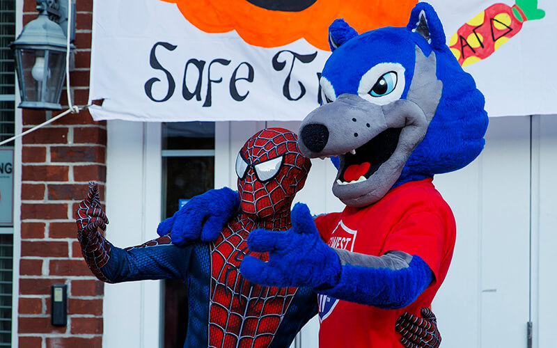 Wolfie and Spiderman