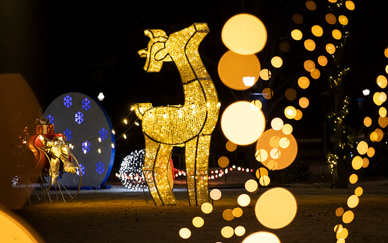 A light-up reindeer pulling a sleigh