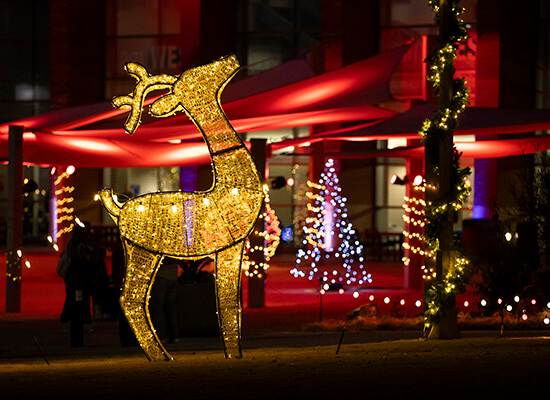 A light-up reindeer