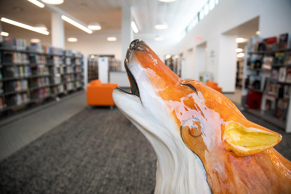 Spirit Wolf at the library