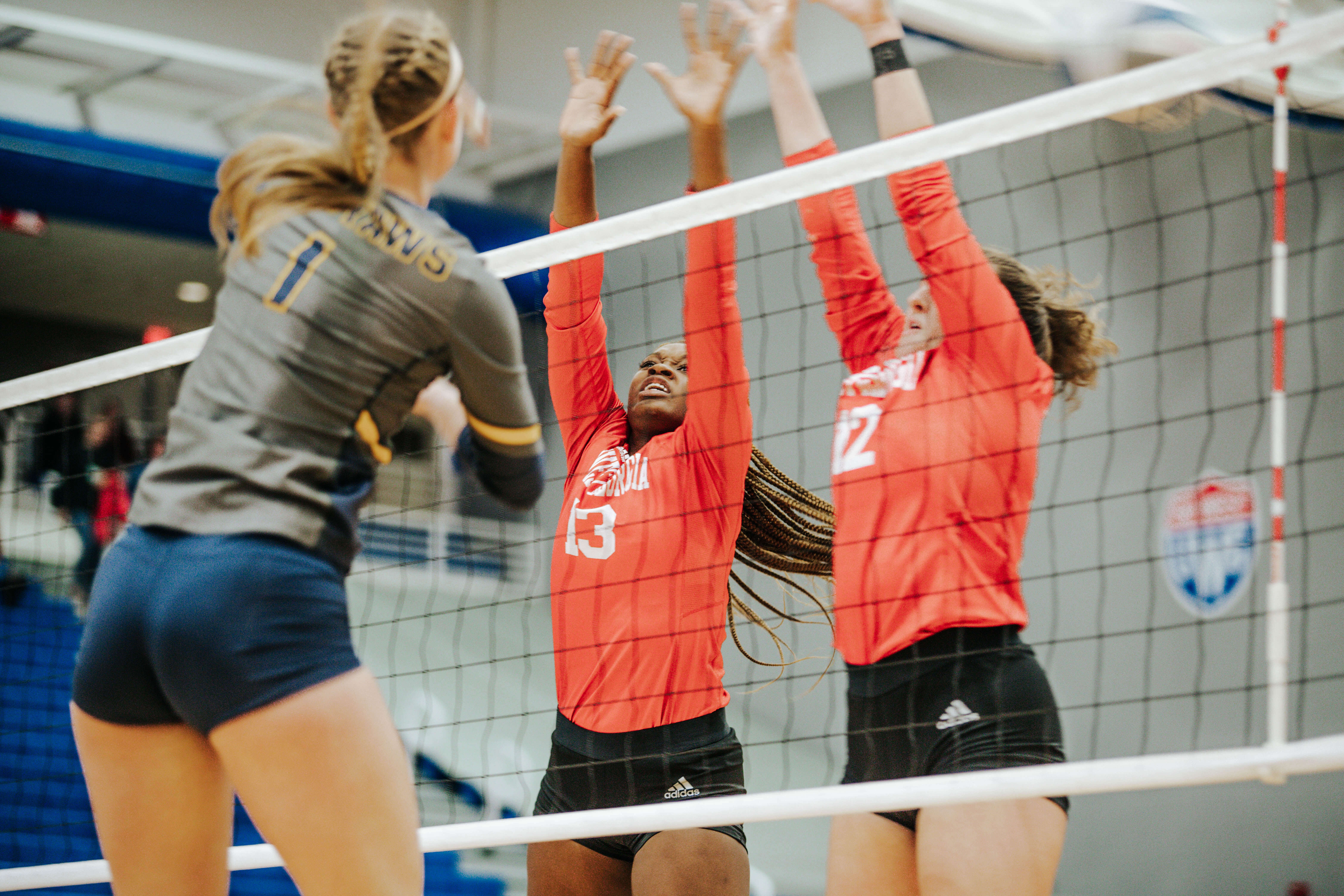 Volleyball