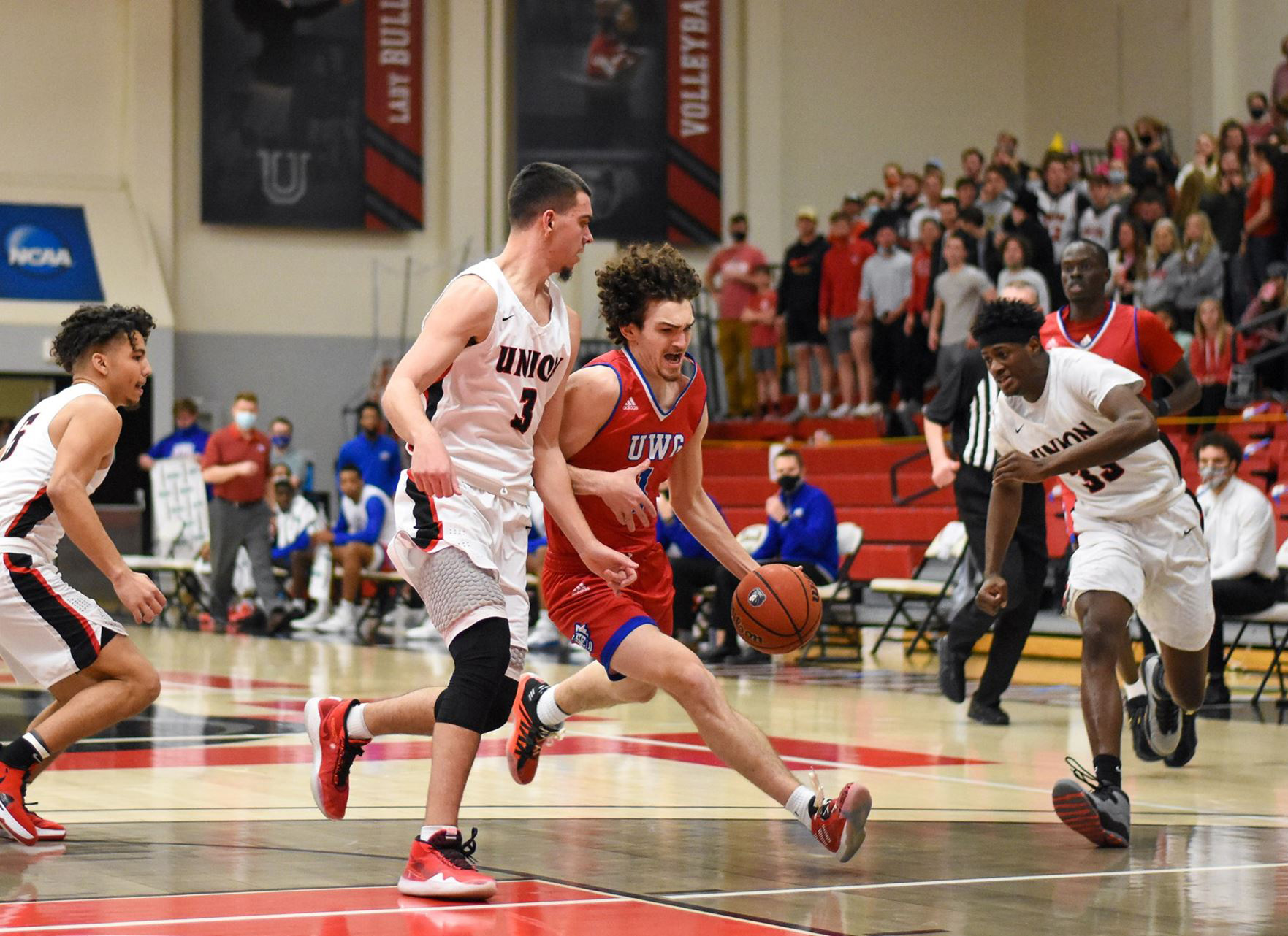 Wolves Blitz Bulldogs