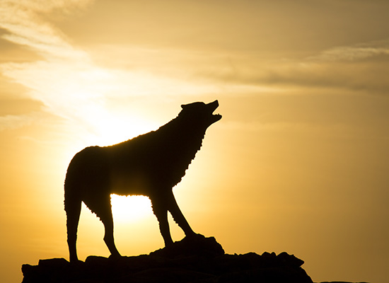 Wolf Plaza silhouetted at UWG