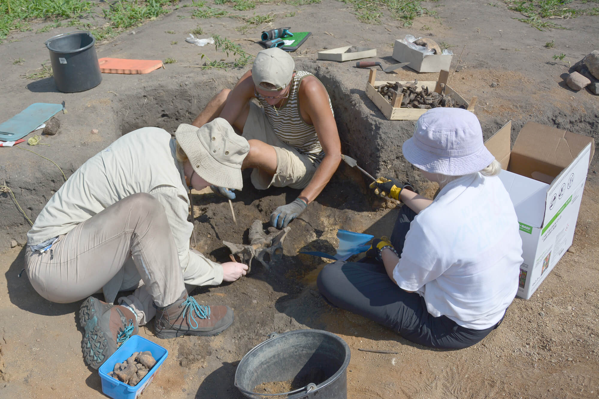 Rogers and others exhume a grave in Poland.