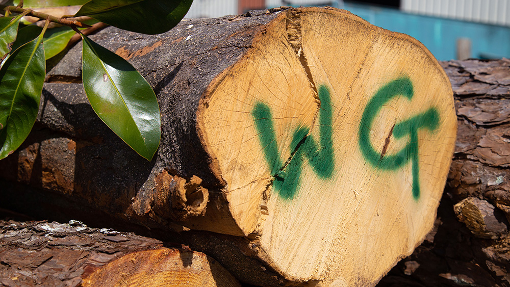Log with WG painted on