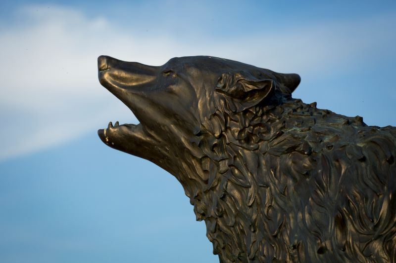 Wolf statue at UWG's Wolf Plaza