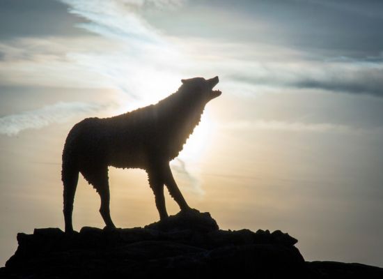 statue of a wolf at UWG's Wolf Plaza