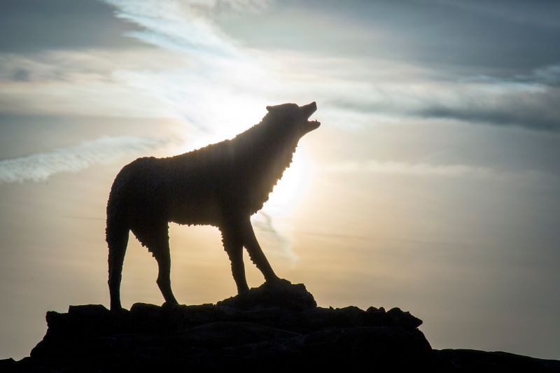 statue of a wolf at UWG's Wolf Plaza
