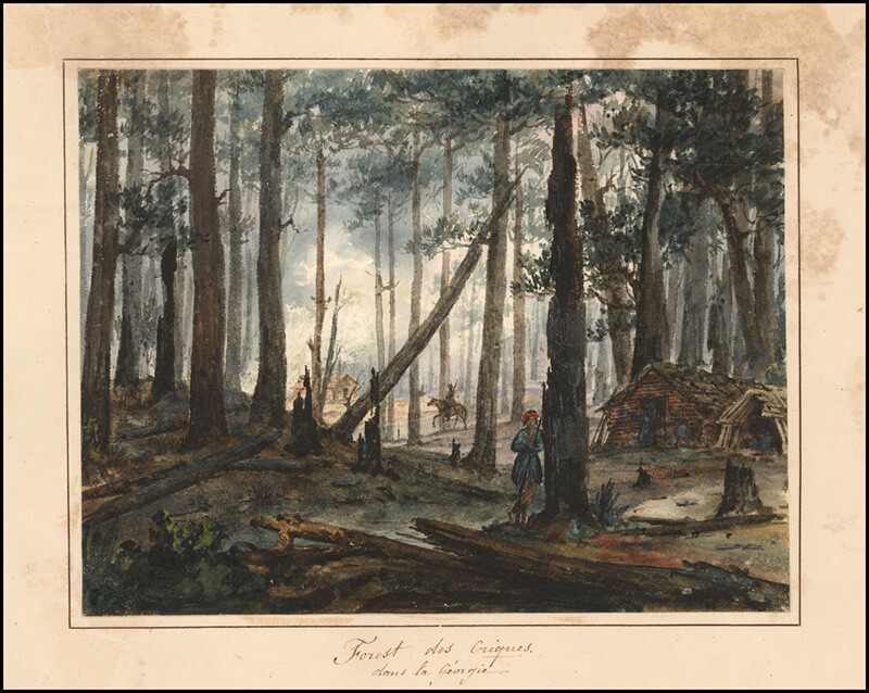 UWG Special Collections owns the original print of the artwork above, “Forest des Criques, dans la Géorgie,” 1831.