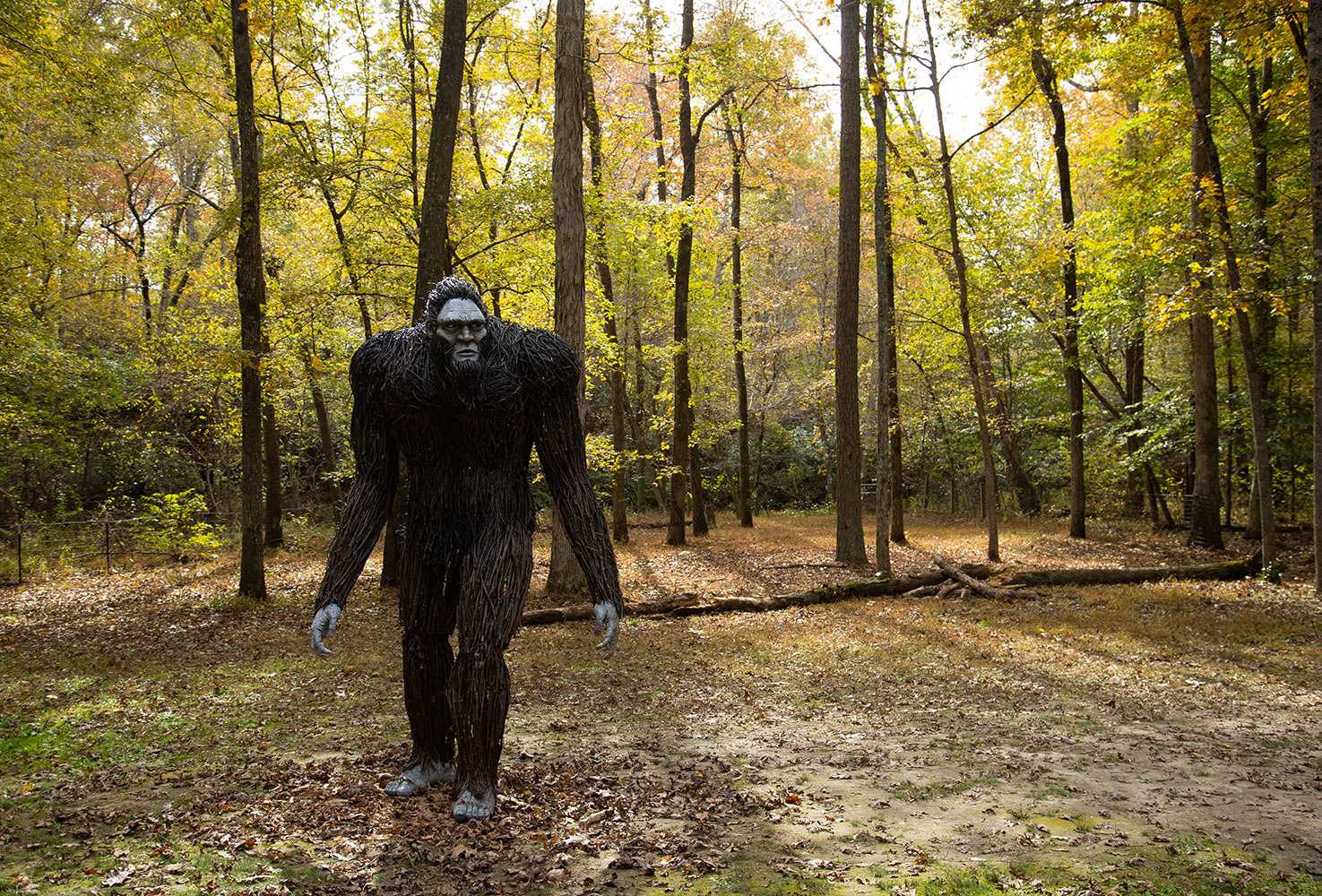 Bigfoot sculpture in the woods